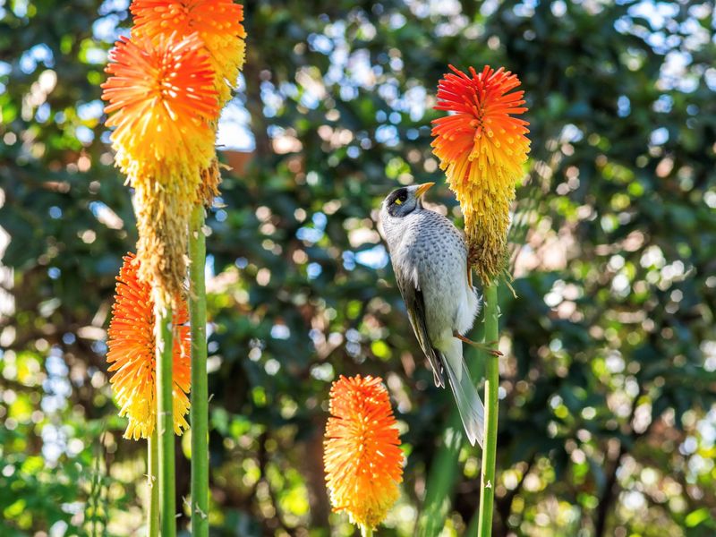 Charming 3-Bedroom Retreat by St Kilda Gardens