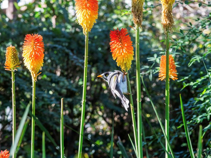 Charming 3-Bedroom Retreat by St Kilda Gardens