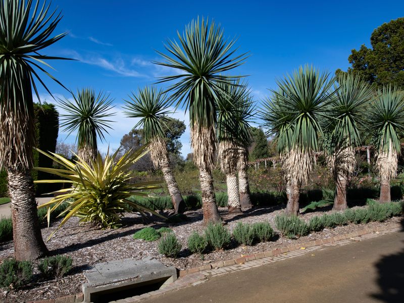 Charming 3-Bedroom Retreat by St Kilda Gardens