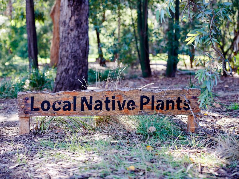 A short walk to nature