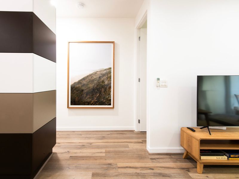 TV for entertainment