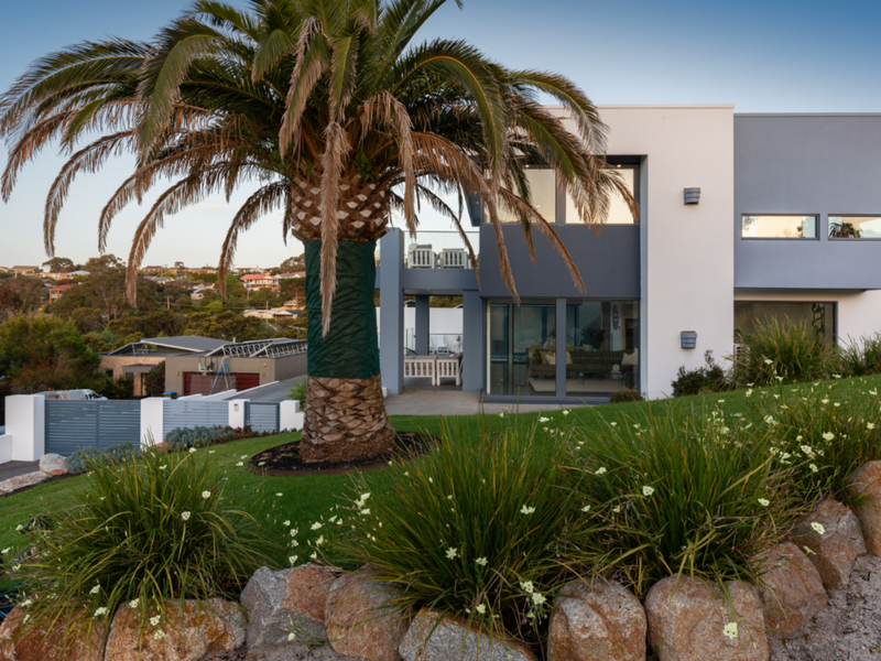 Lush garden surrounds with palm trees and manicured greenery