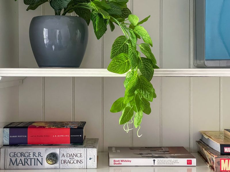 Oatley Escape with Pool Relax in Style & Elegance