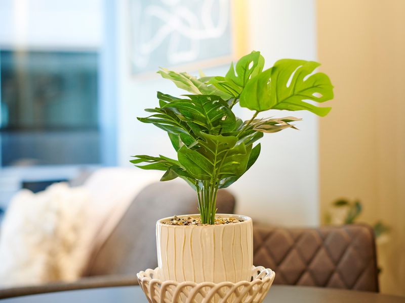 Melbourne CBD Retreat w/Gym & Balcony