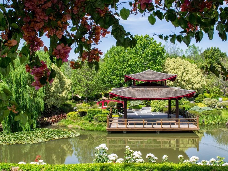 Hunter Valley Gardens Display