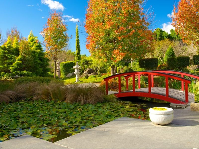 Hunter Valley Gardens