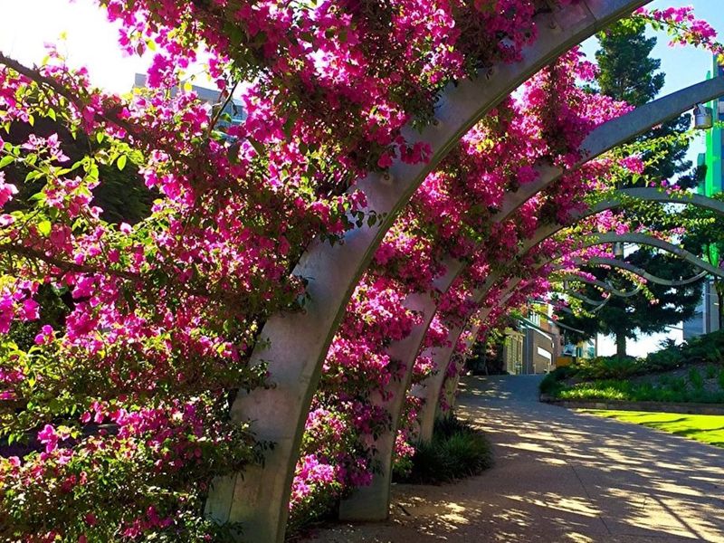 South Bank Parklands