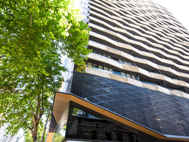 Contemporary building façade surrounded by greenery