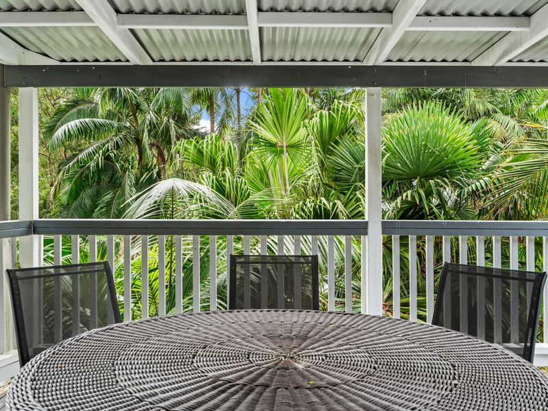 Palm Paradise Near the Beach