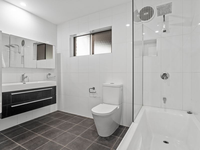 Palm Paradise Near the Beach