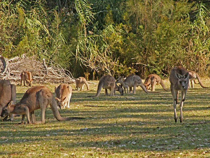 Morisset Park - 10km