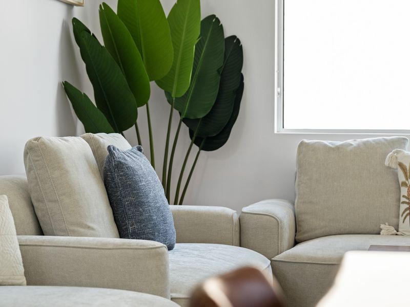 Relax in style with brand-new, carefully selected furniture that blends comfort and modern design for a truly luxurious experience.