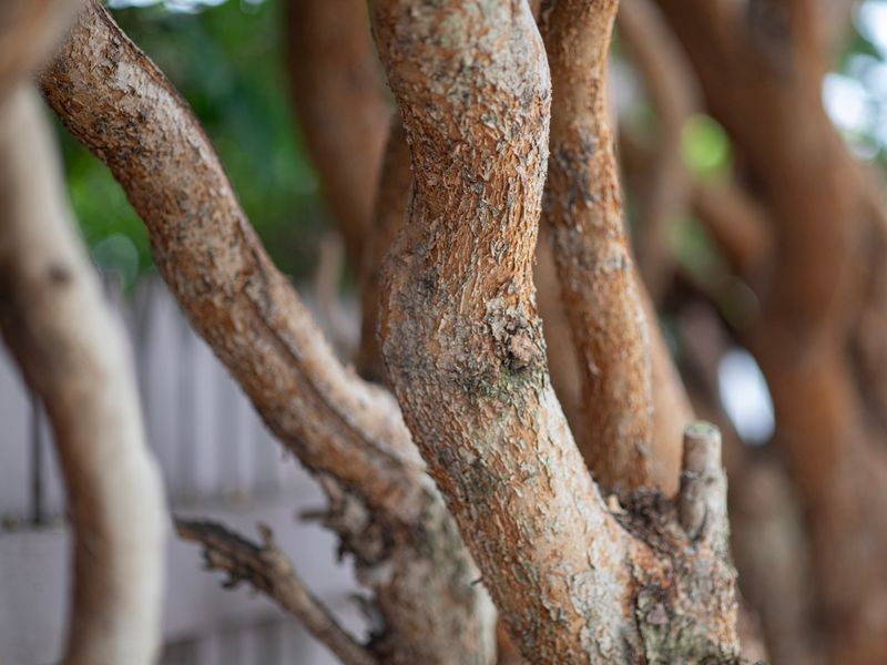 Ace Your Stay – Pool, Gym & Tennis in One Place!