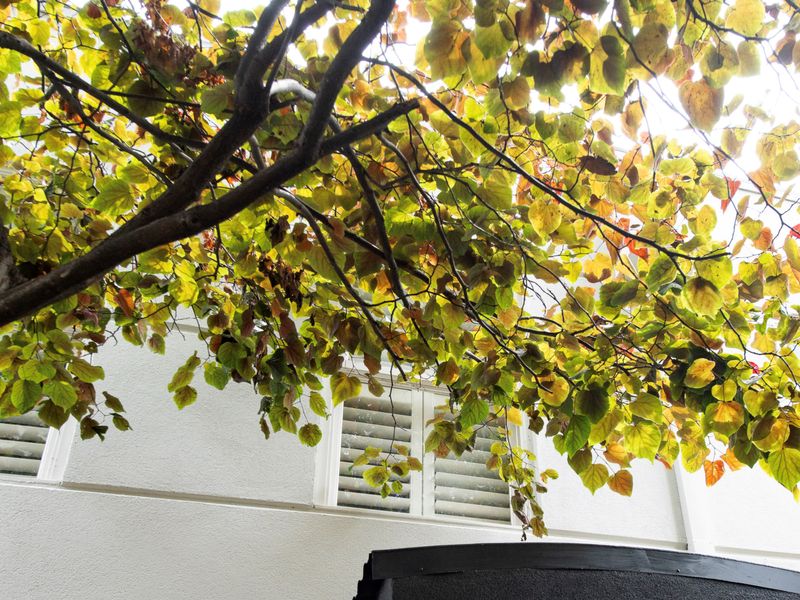 Ace Your Stay – Pool, Gym & Tennis in One Place!