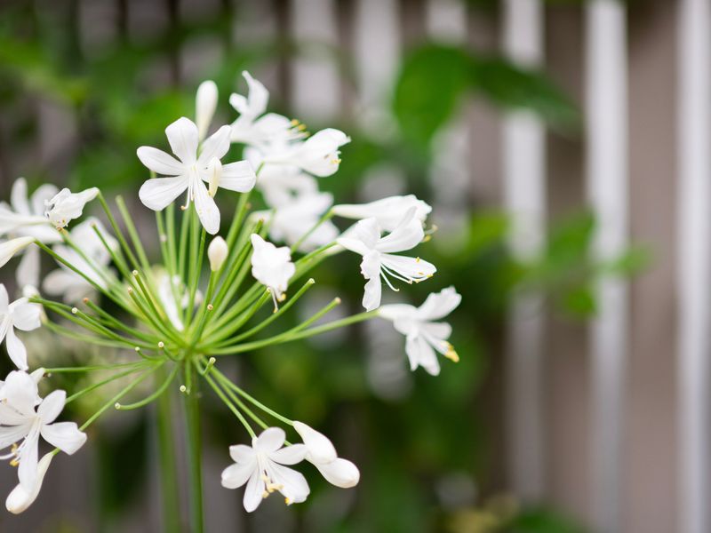 Ace Your Stay – Pool, Gym & Tennis in One Place!