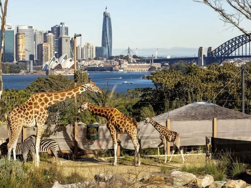 Moments to Balmoral – Art Deco Apartment Mosman