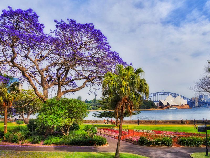 Royal Botanic Garden