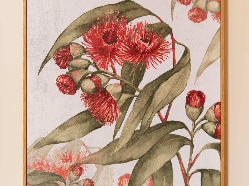 Native Flora Art: Vibrant framed botanical print celebrating the beauty of red flowering eucalyptus blossoms.