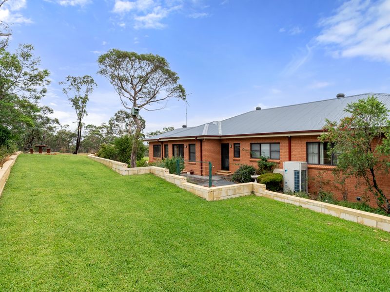 A scenic backyard with plenty of space to explore and relax under the trees.