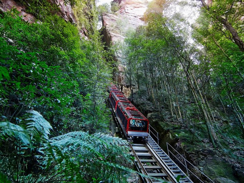 Scenic World