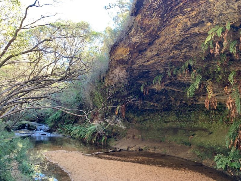 The Charles Darwin Walk