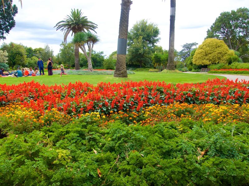 St Kilda Botanic Gardens – Locate 1.4 Kilometres away 20-minute walk