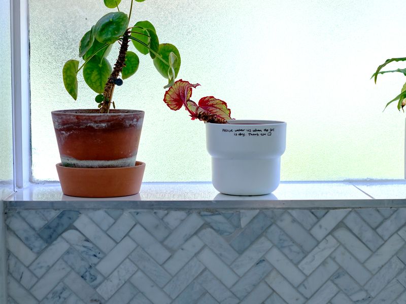 Charming St Kilda East 1-Bedroom