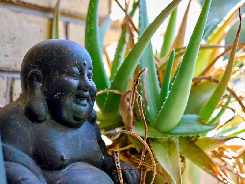 Charming St Kilda East 1-Bedroom