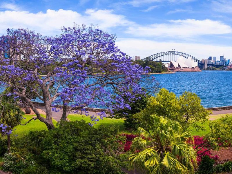 Central Sydney Apartment with Pool, Gym & Parking
