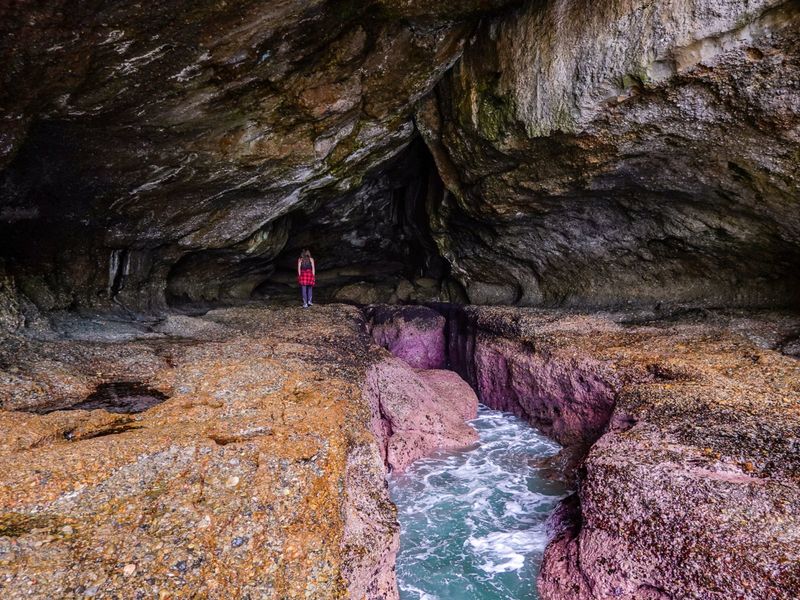 Munmorah State Conservation Area: 12 km