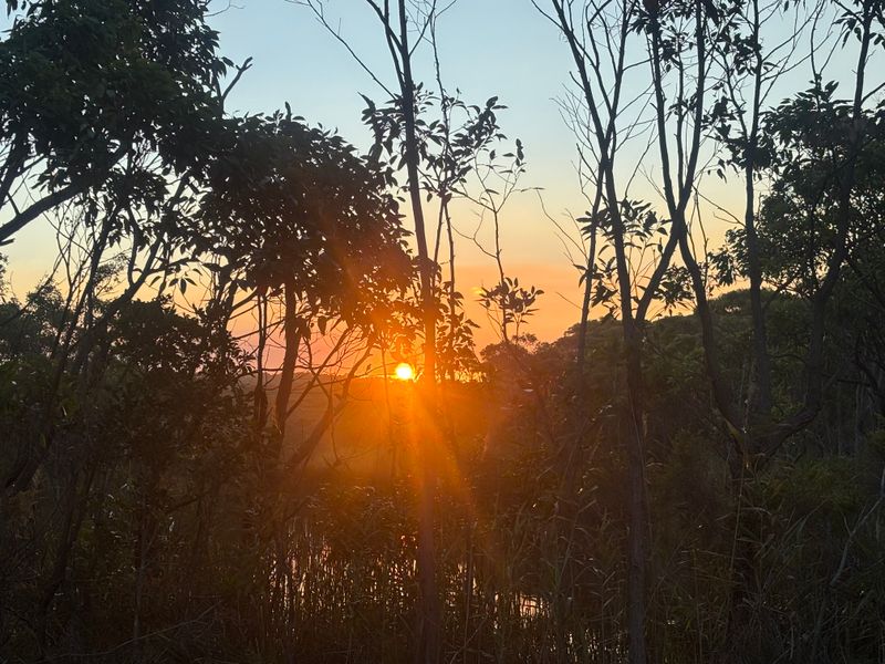 Tides Of Tranquillity