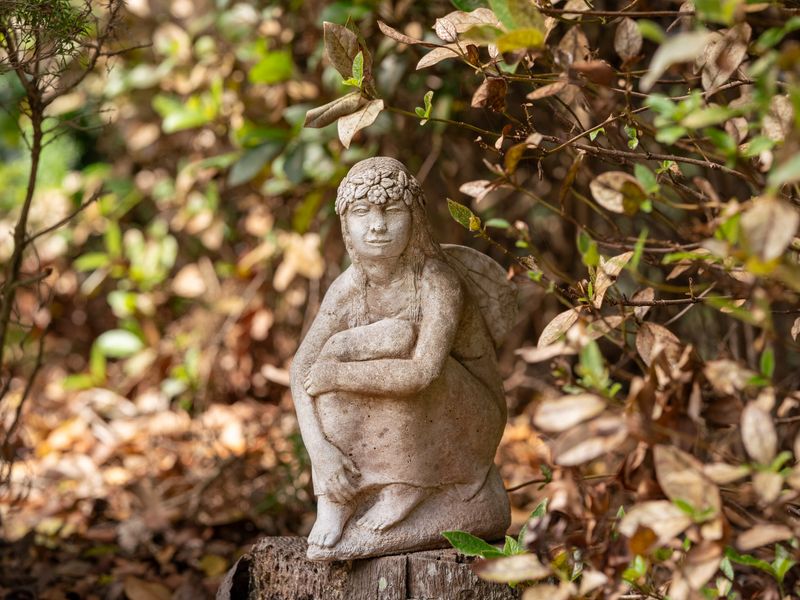 Rosa-Tranquil Retreat Near Malua Bay Beach