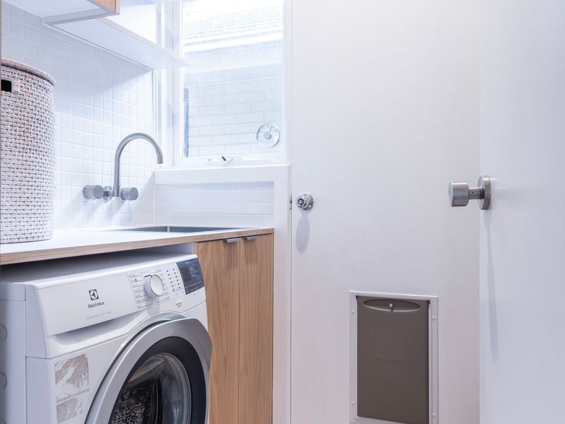 Washer for laundry needs