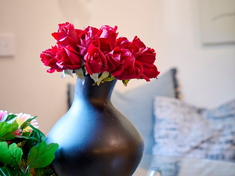 Quirky Retreat | A Charming 1BR in Trendy Collingwood