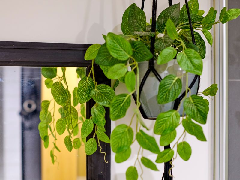 Quirky Retreat | A Charming 1BR in Trendy Collingwood