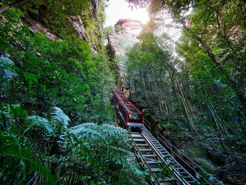 Scenic Railway Discover