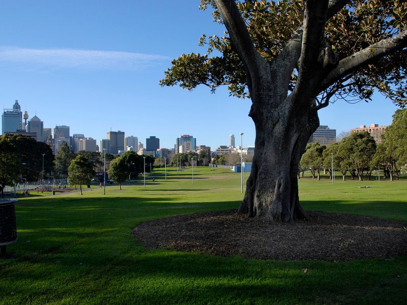 A green escape in the heart of Sydney's skyline.