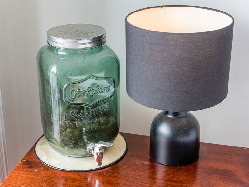 Ample light for your reading