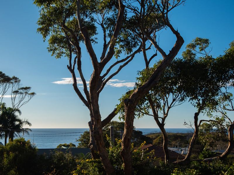 Ocean Views Walk to Malua Beach EV & Pet Friendly