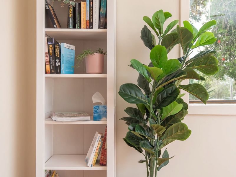 Ocean Views Walk to Malua Beach EV & Pet Friendly