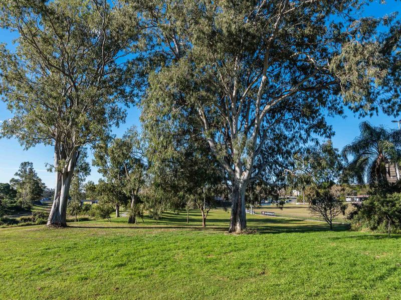 City Fringe Retreat Parkland Views – Walk to Everything!