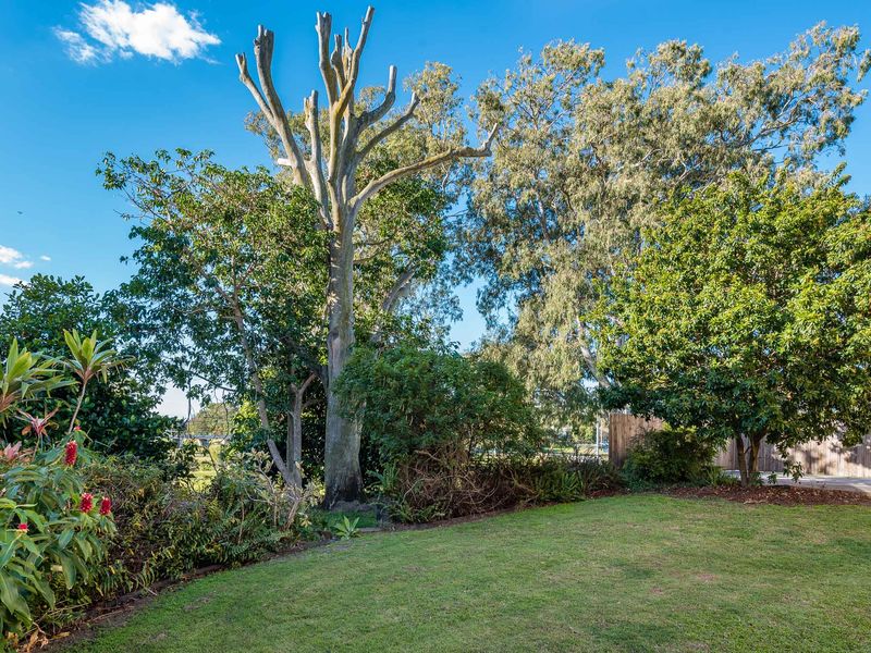 City Fringe Retreat Parkland Views – Walk to Everything!