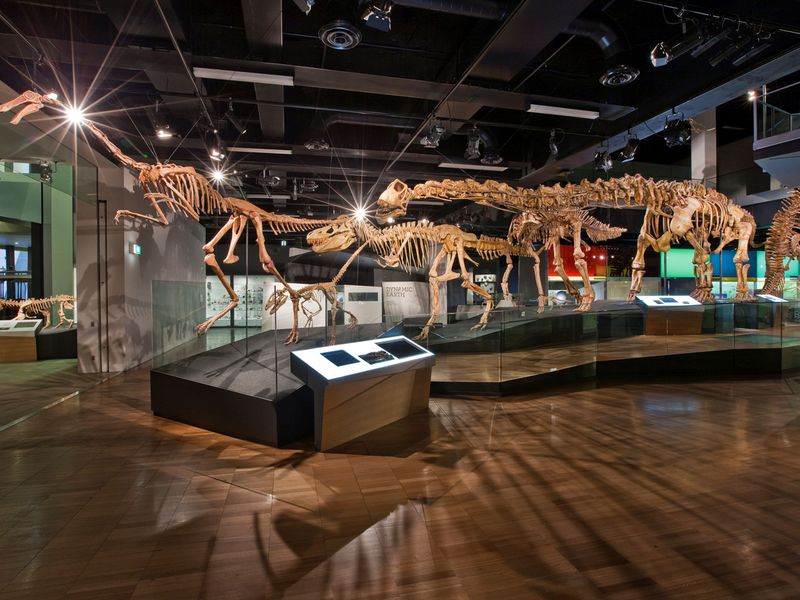 Melbourne Museum
