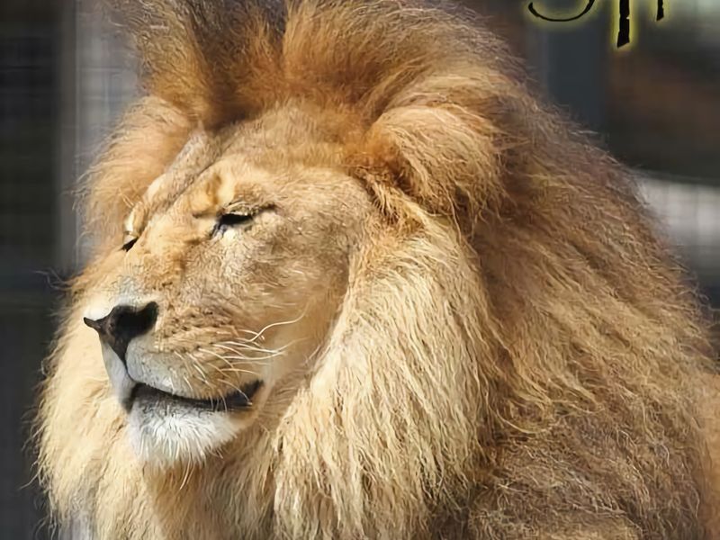 Villa Tempranillo Fire Pit Among the Vineyards