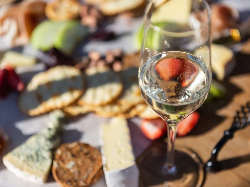 Villa Tempranillo Fire Pit Among the Vineyards