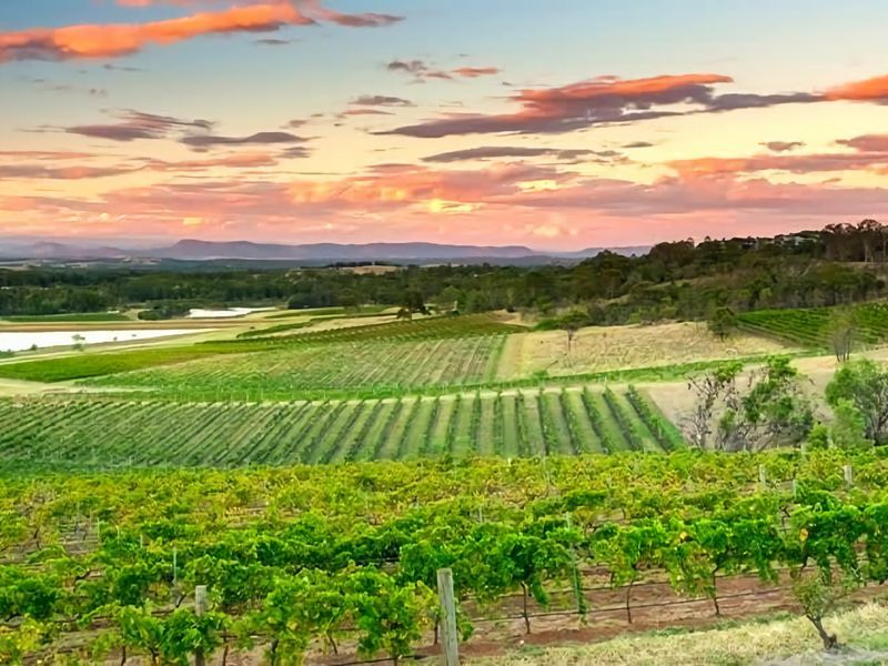 Villa Tempranillo Fire Pit Among the Vineyards