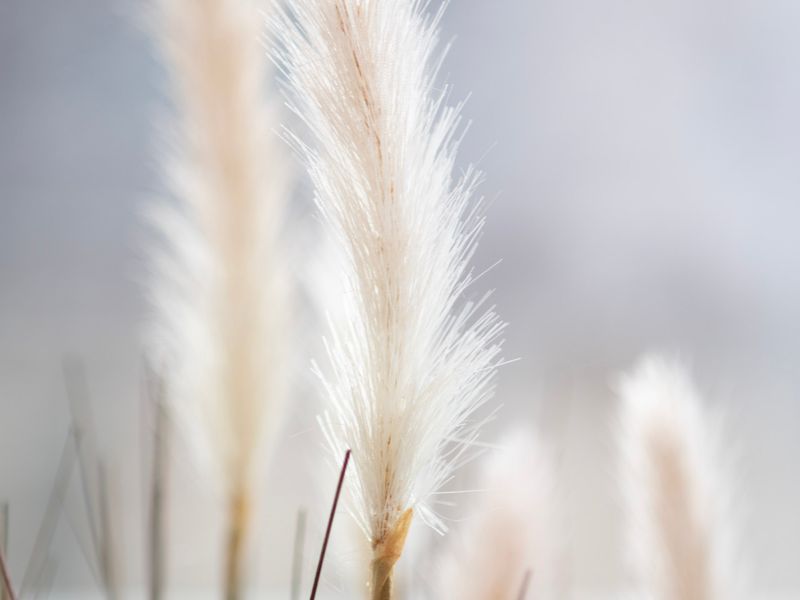 Sleek CBD Getaway – Near Southern Cross Station