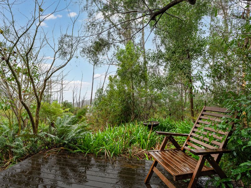 Rain-kissed wood and a forest view.