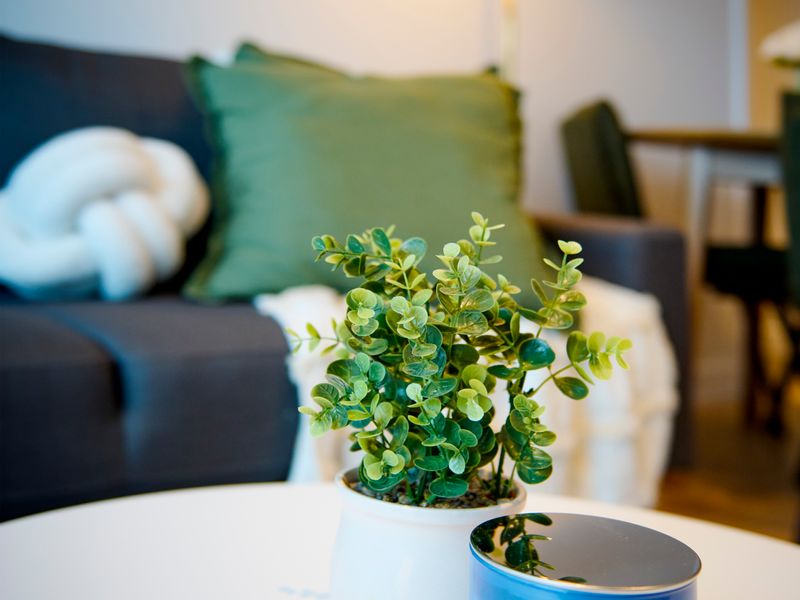 Urban Luxe Southbank Poolside Escape