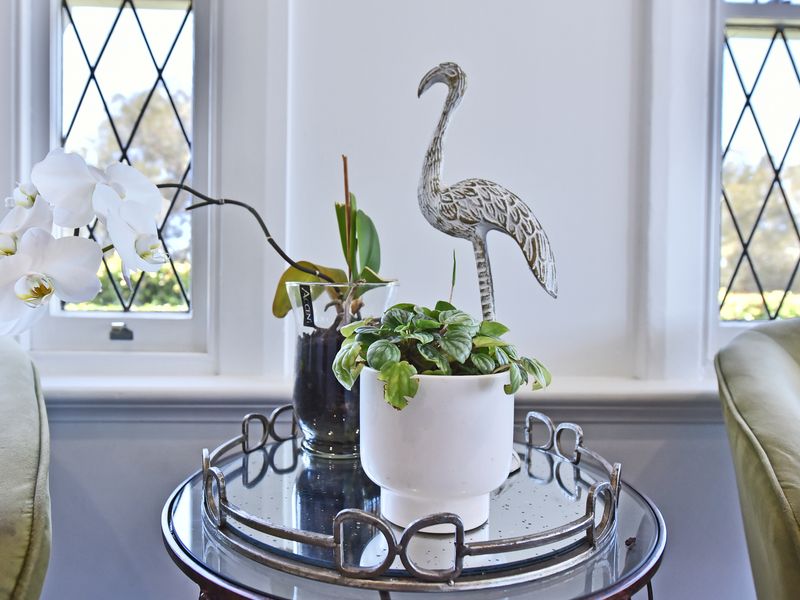 Merewether House 1910 – Iconic and Luxury Home